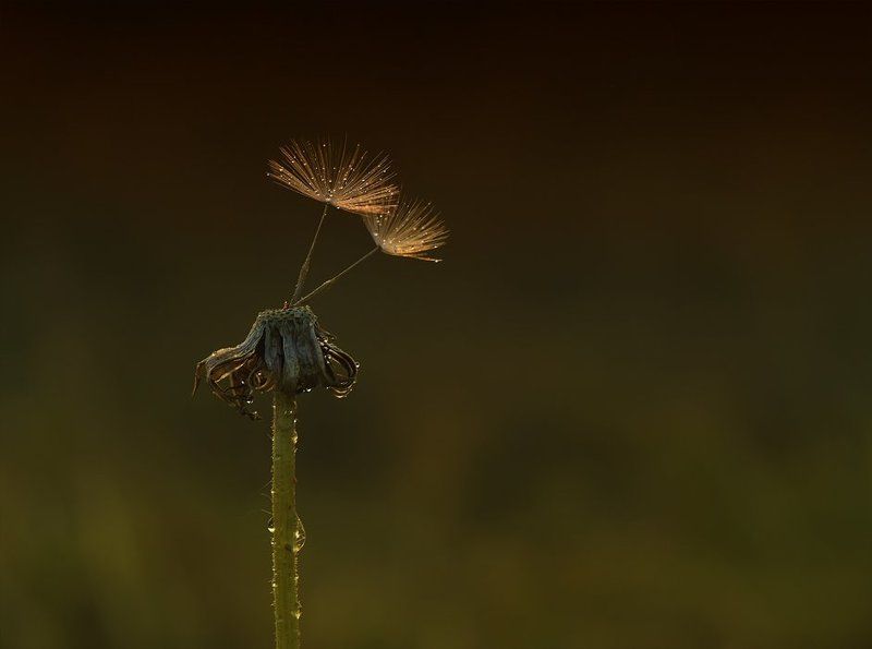 Когда мы вместе... фото превью