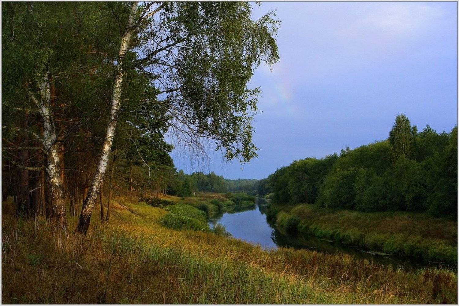 деревня, река, угра, береза, берег, Екатерина Богданова