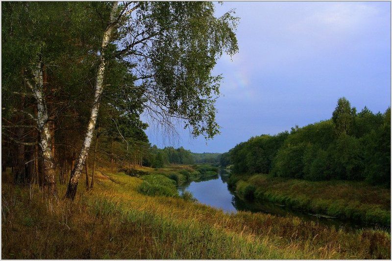 деревня, река, угра, береза, берег Угра фото превью