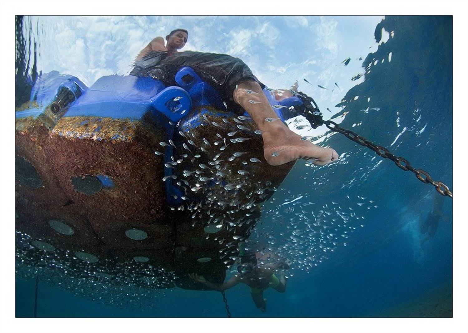 , Нарчук Андрей