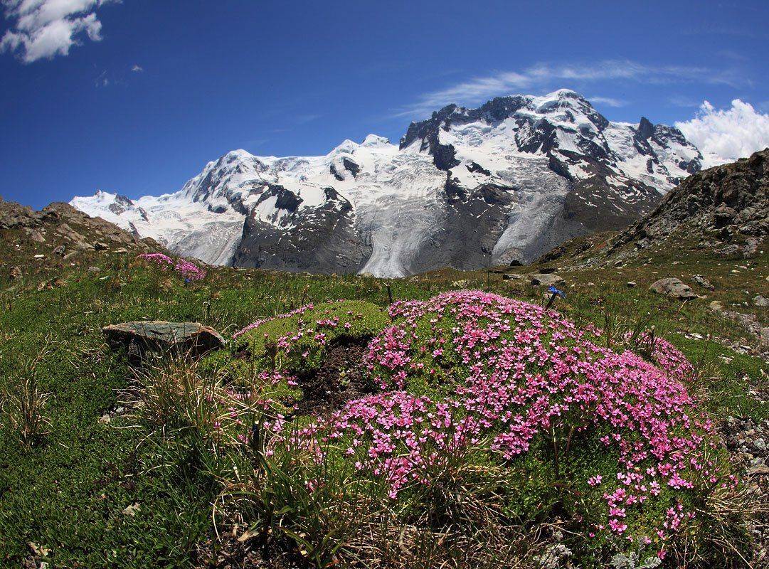 швейцария, Матвеев Николай