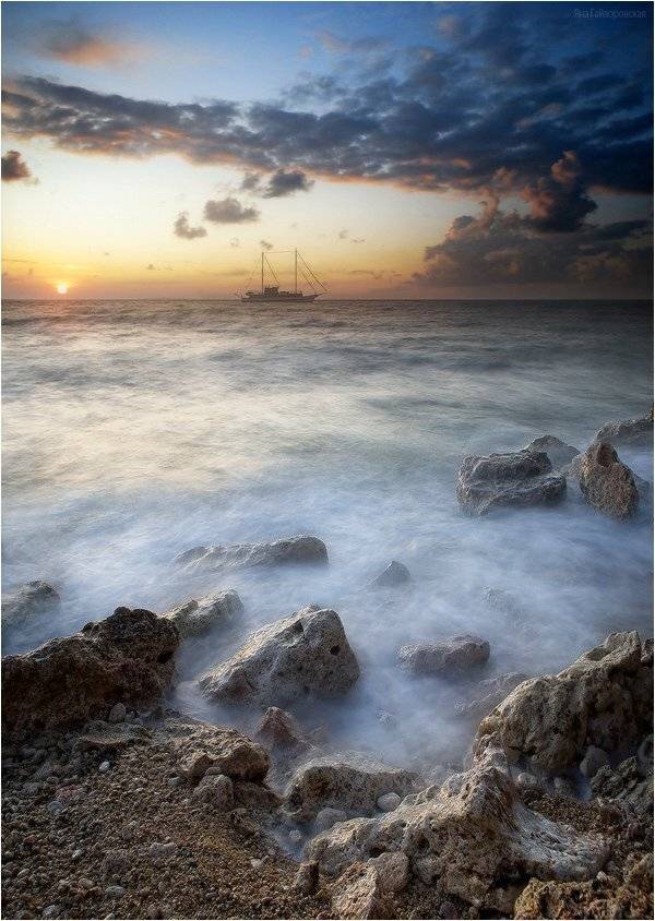 , Яна  Гайворонская