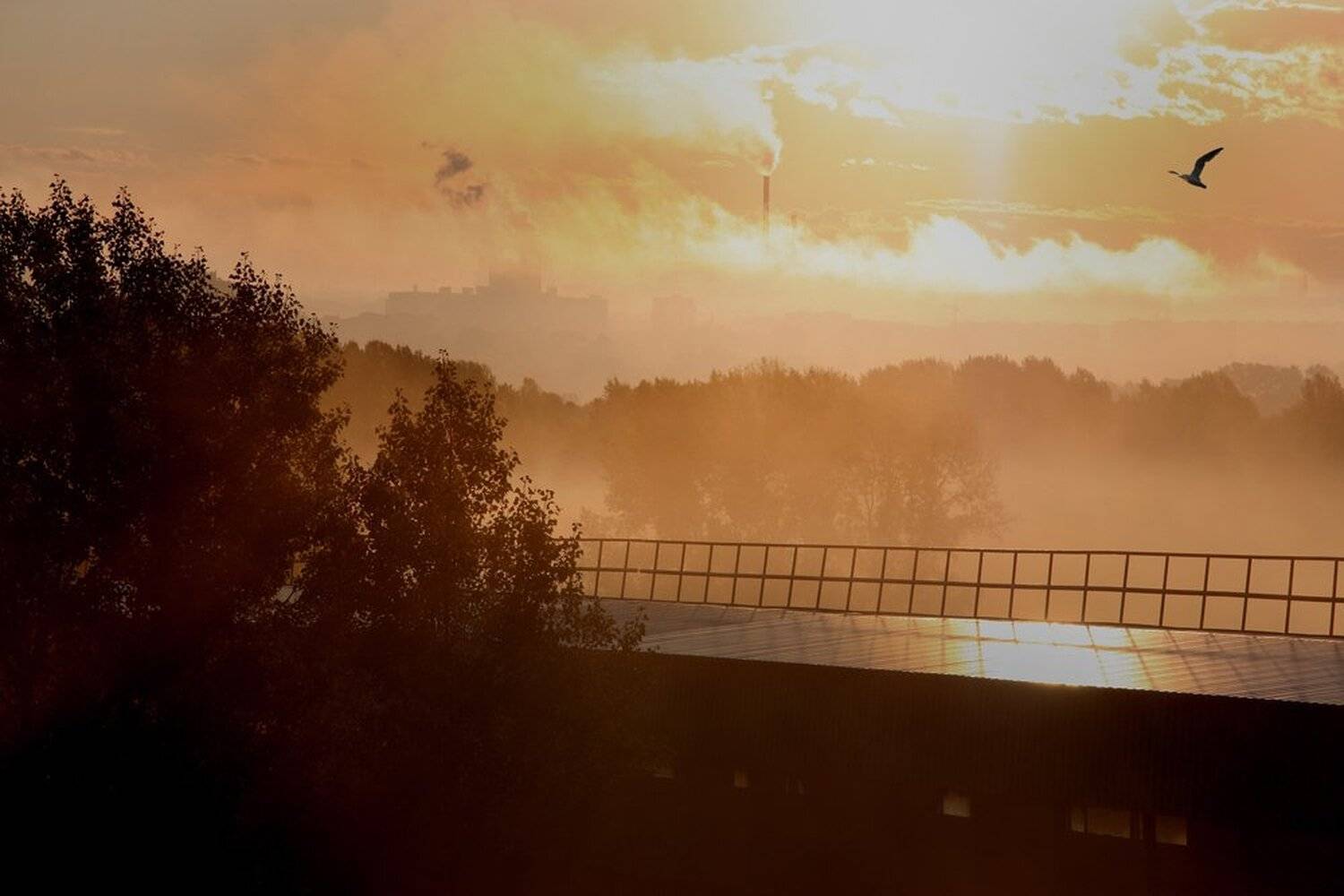 , Константин Буркин