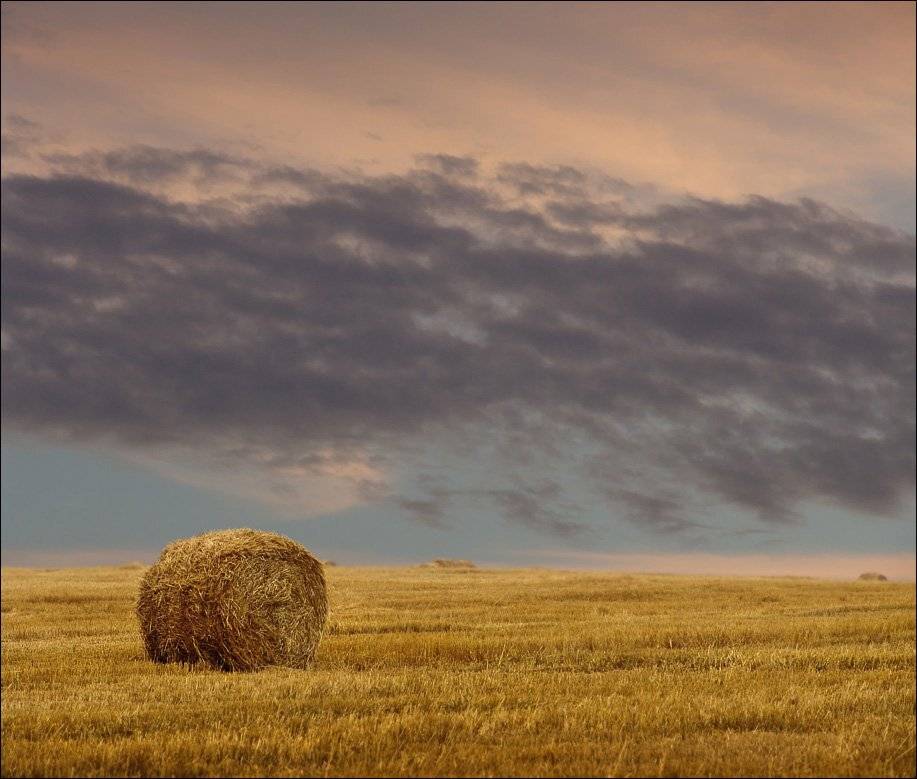 сено, небо, поле, Тарасов Алексей