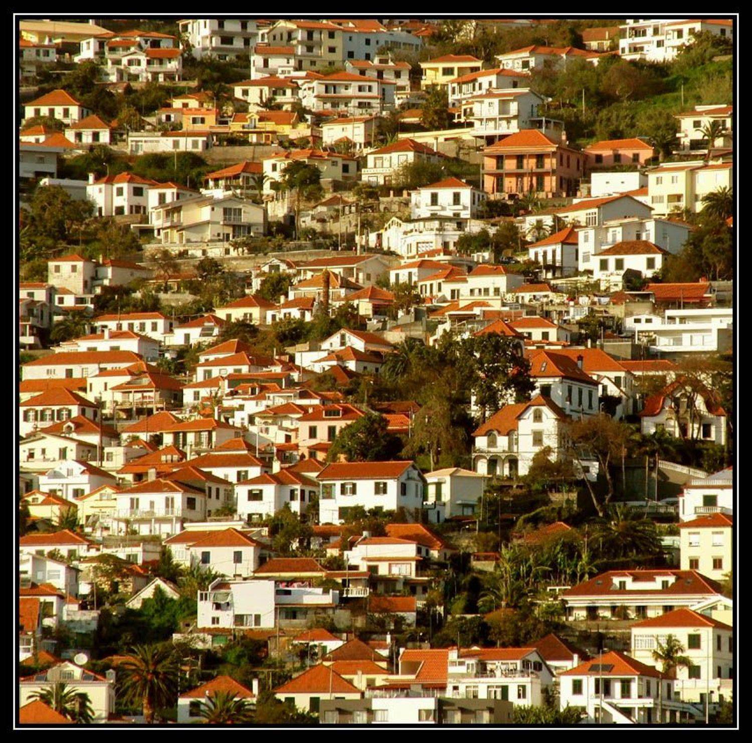 funchal,madeira,portugal, Yuri Malyshev