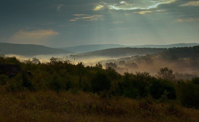 Утро нового дня фото превью