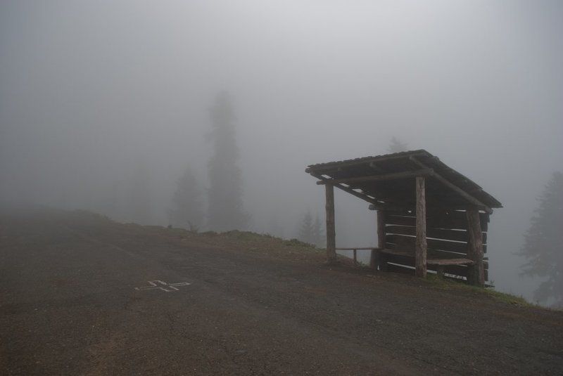 bakhmaro On the next, please. фото превью