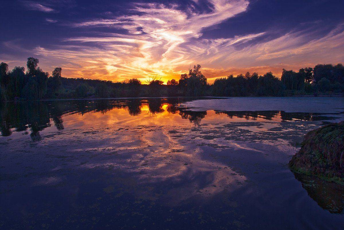 , Александр