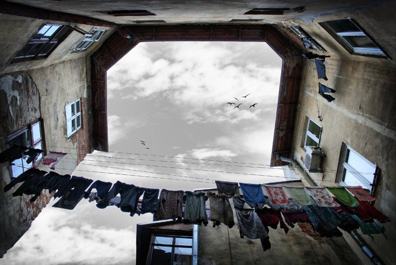 , Кирилл Шибут