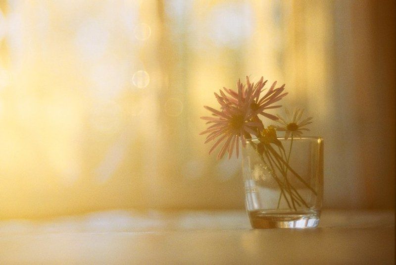 ***** фото превью