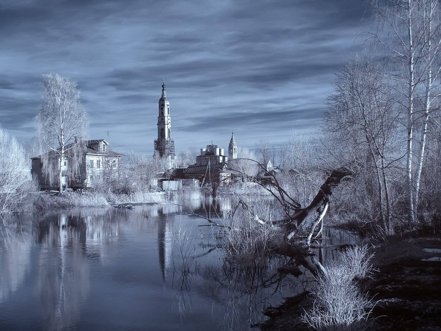 , Максим Евдокимов