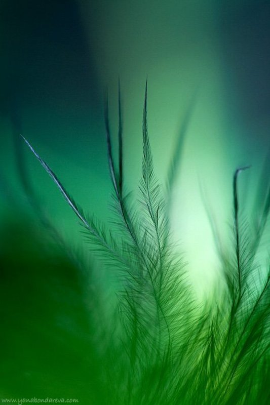 *** фото превью