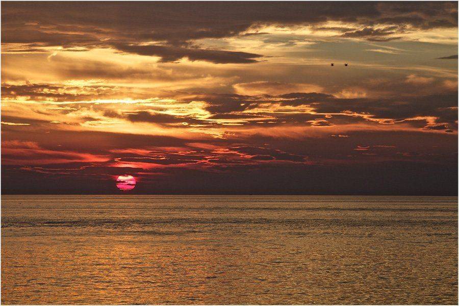 , СПИРИДОНОВ НИКОЛАЙ