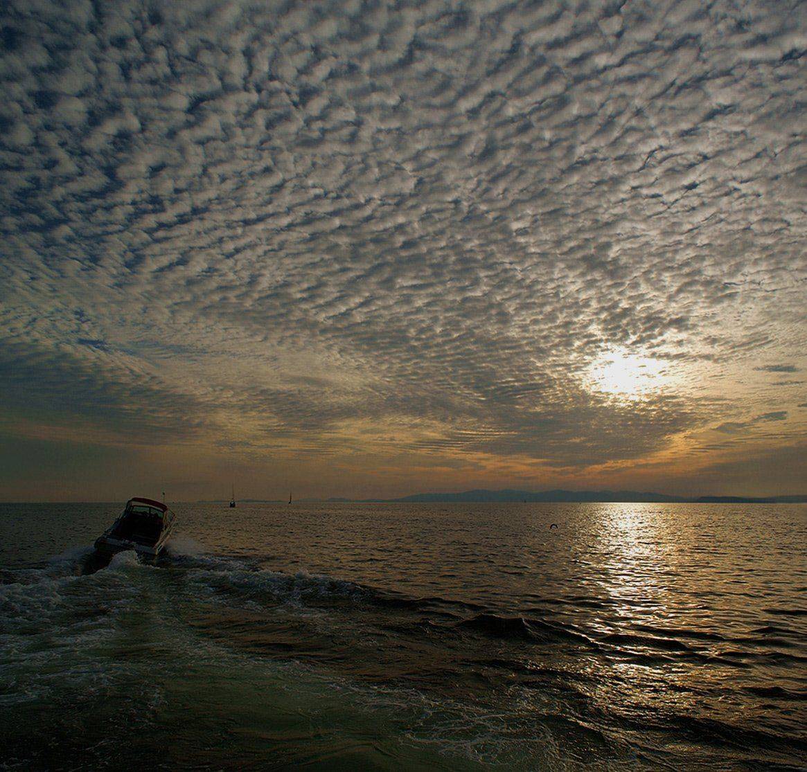 , олег сопов