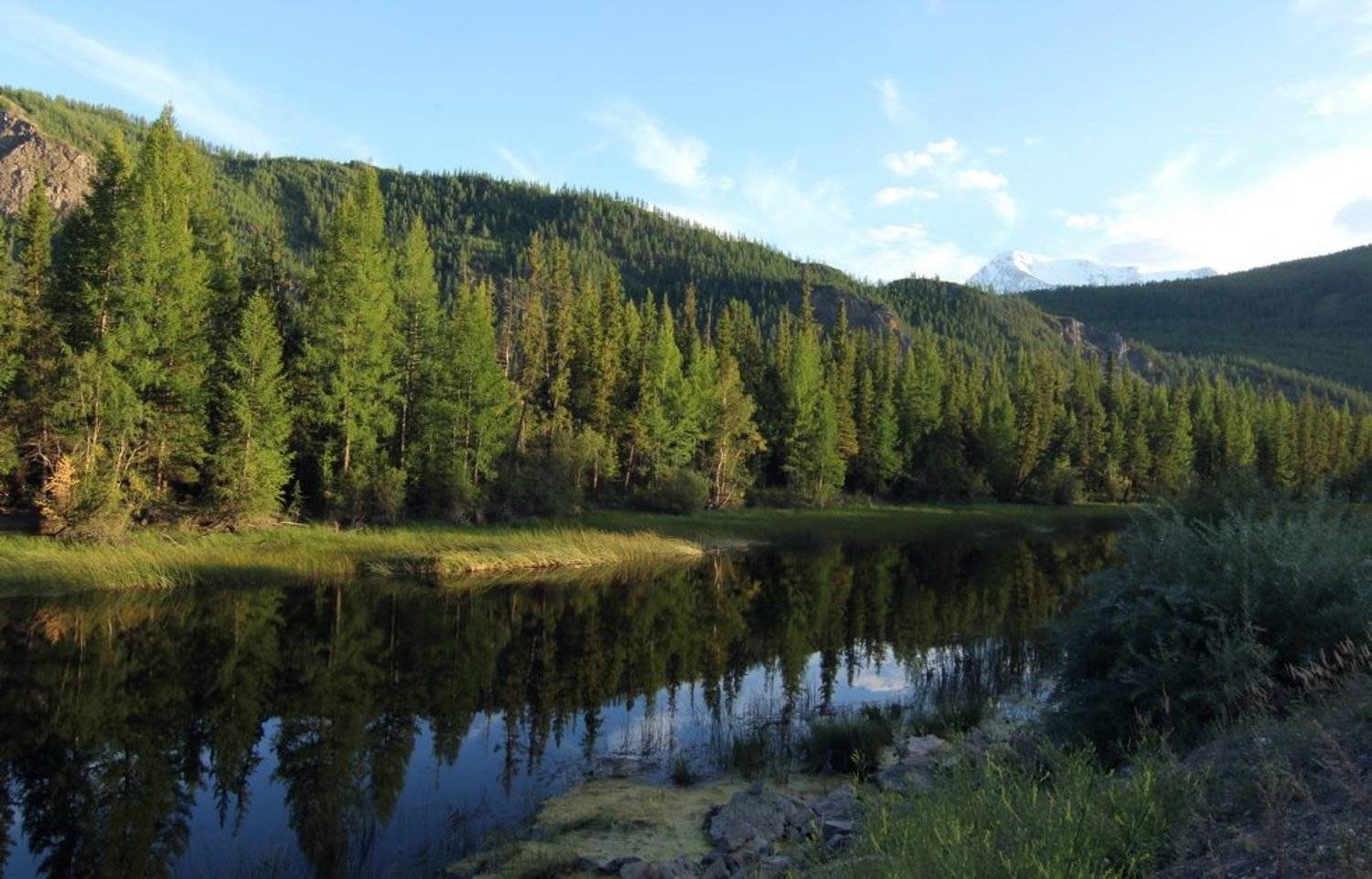 алтай, горный алтай,лето, Олег Кулаков