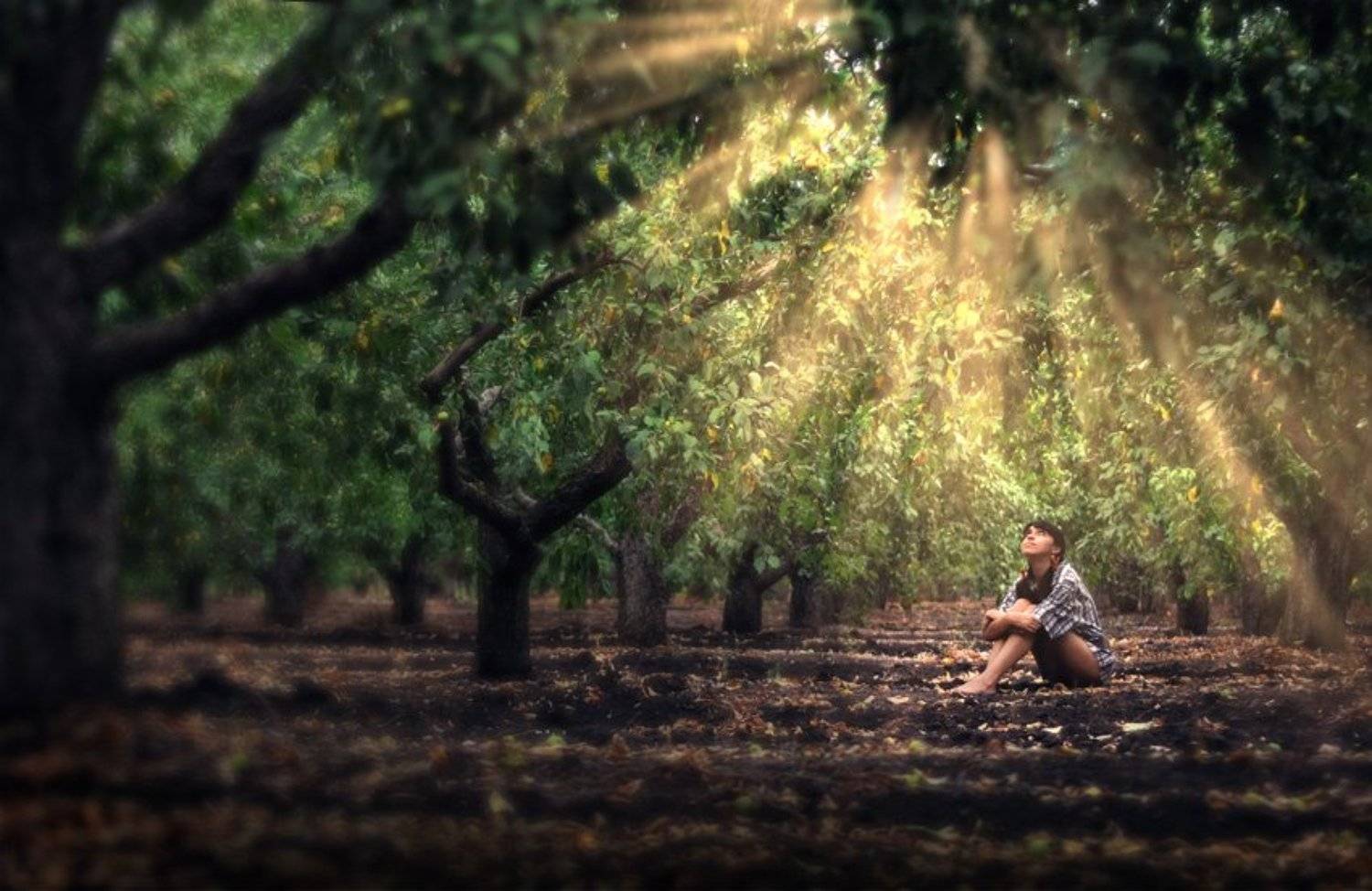 , Владислав