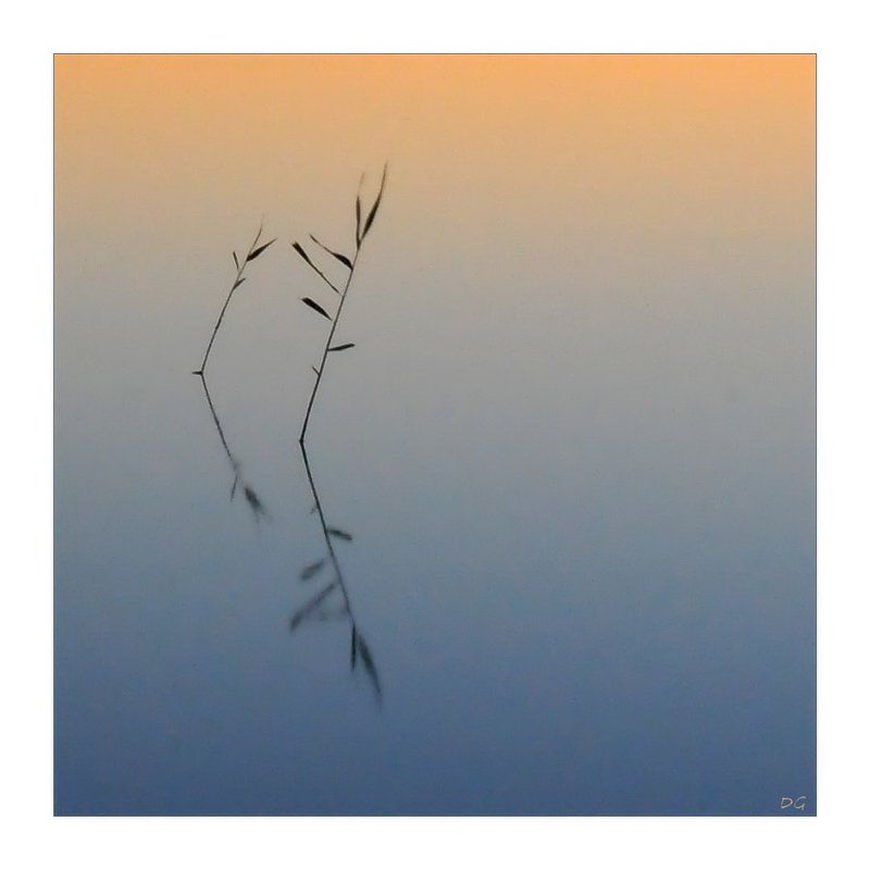 финляндия, озеро, простота, закат, Танцы на воде (..красота в простом...) фото превью