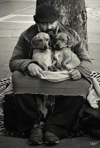 Беспородные парижанки II