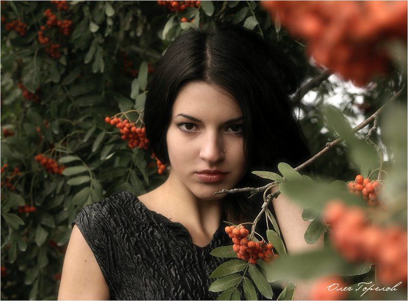 рябина Рябина фото превью