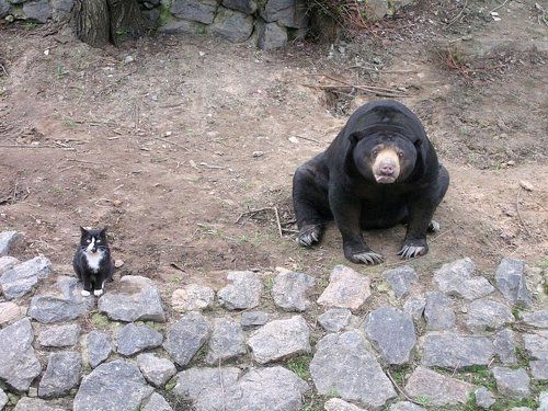 Мы люди неместные...