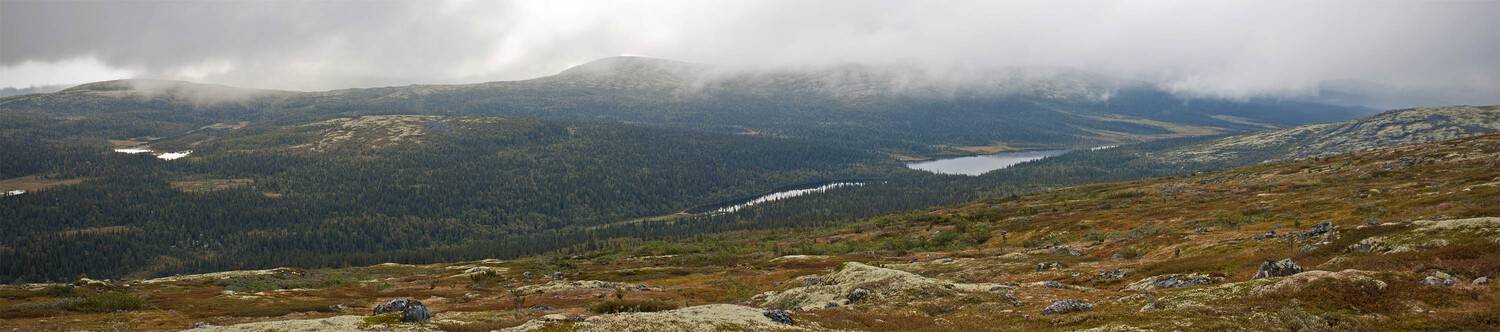 кольский, полуостров, locus