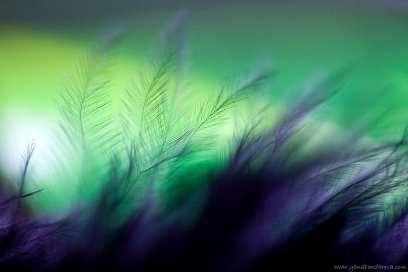 *** фото превью