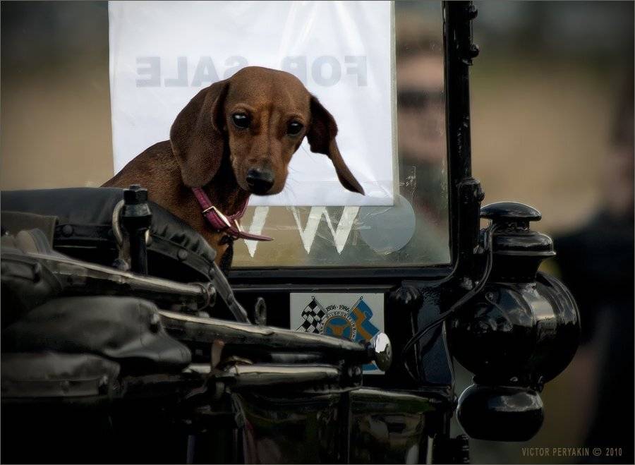 , Виктор Перякин