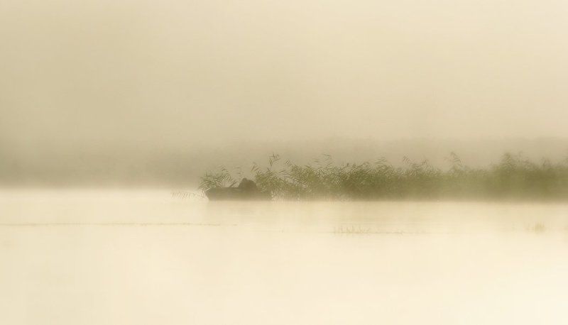 Очень раннее утро фото превью