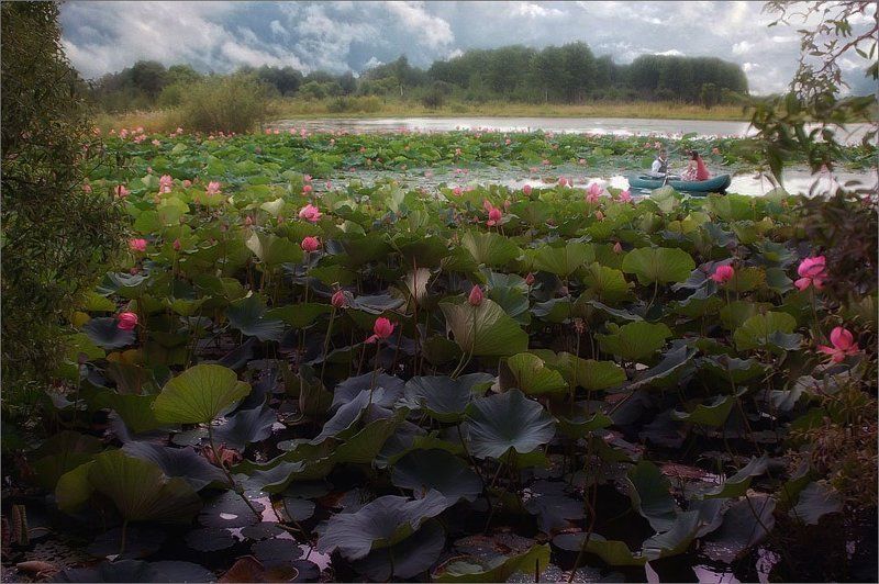 в стихах все быть должно некстати...(с) фото превью