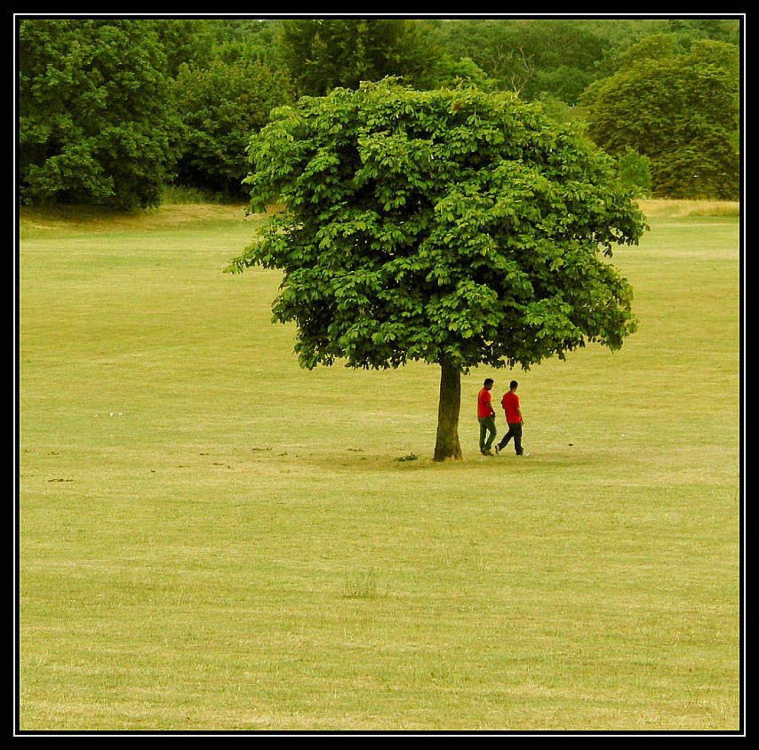 surrey,england, Yuri Malyshev