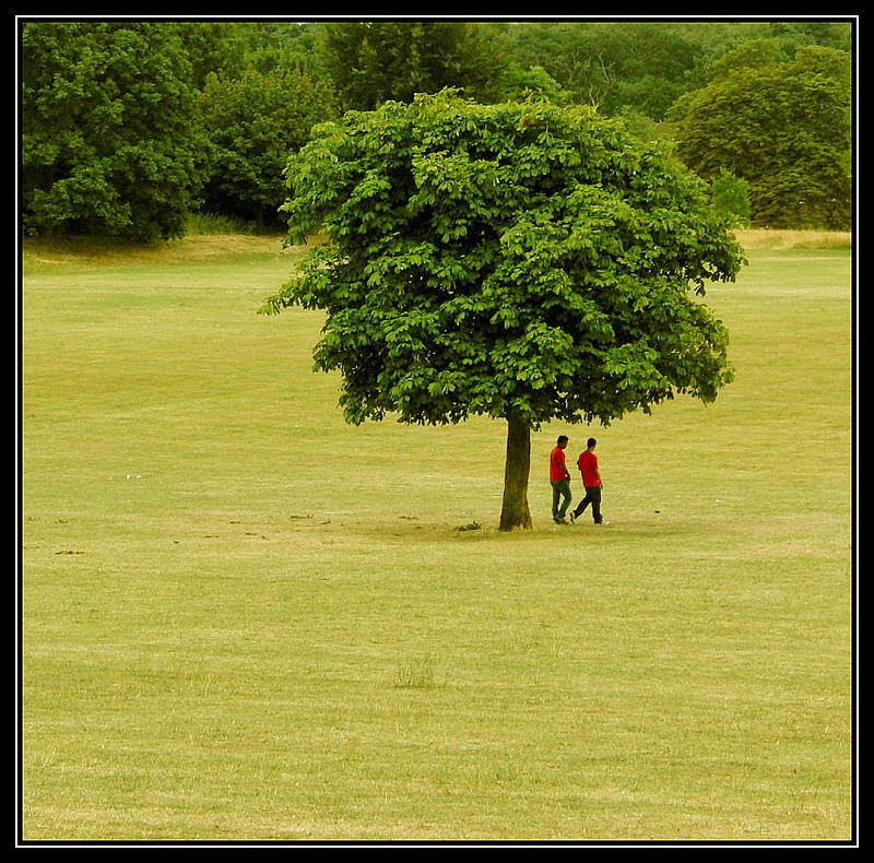 surrey,england прогулка фото превью