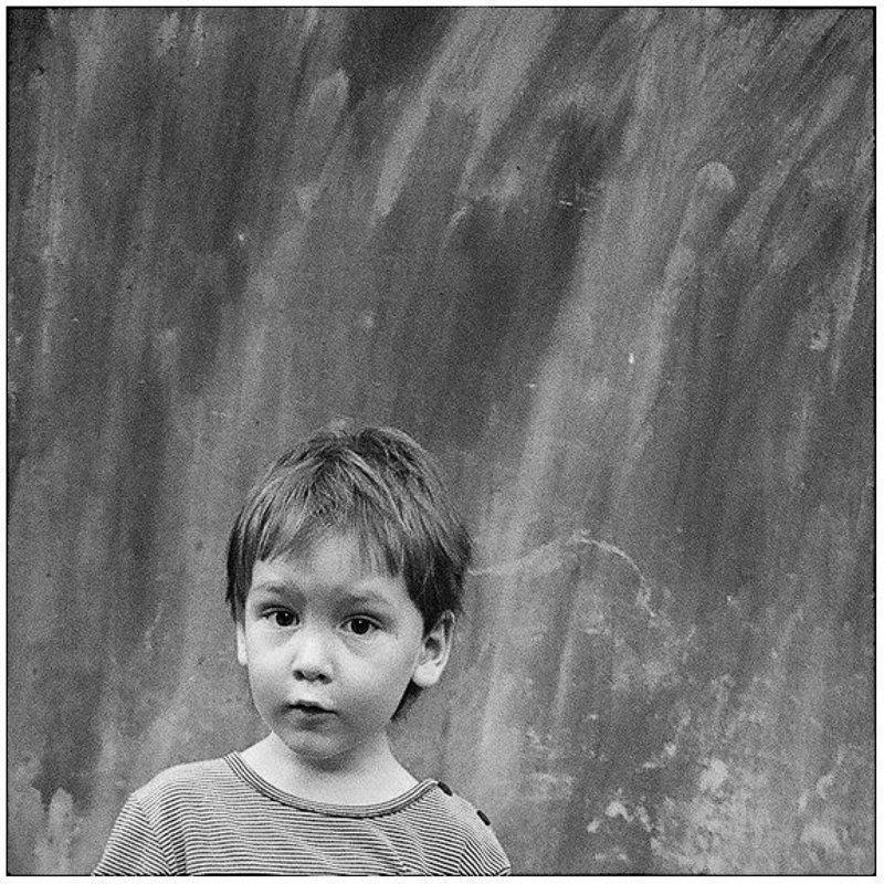 зенит, е Дядя Фёдор фото превью