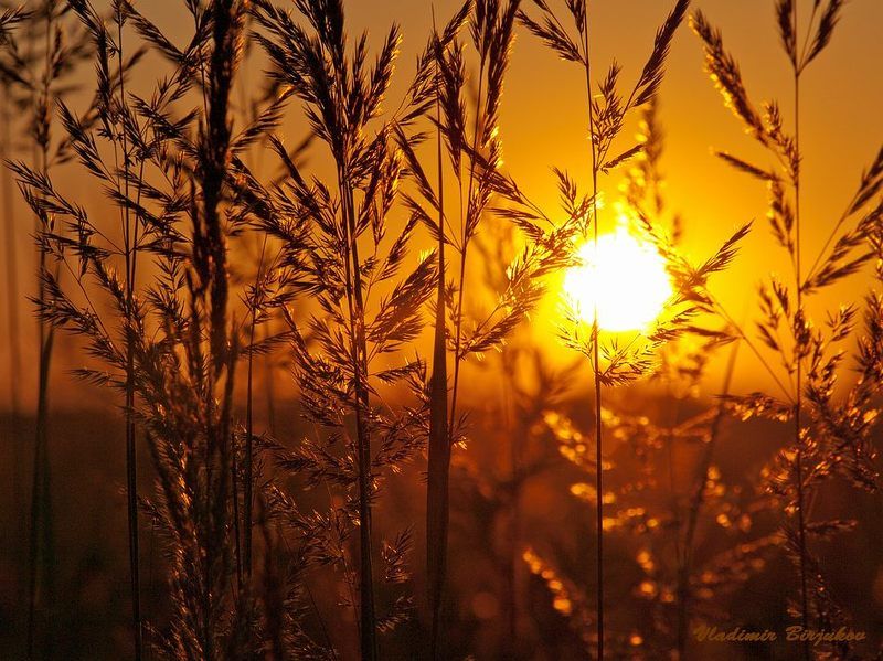 Была Жара.... фото превью