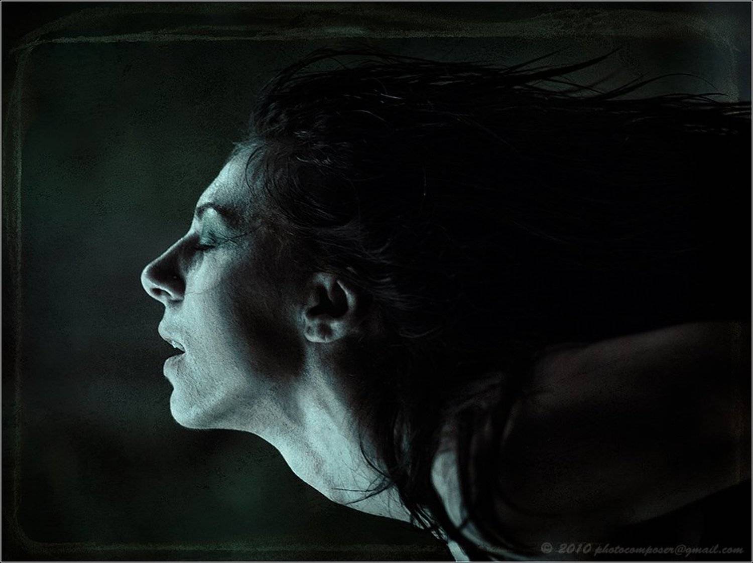 портрет, pilgrim, portrait, Pilgrim