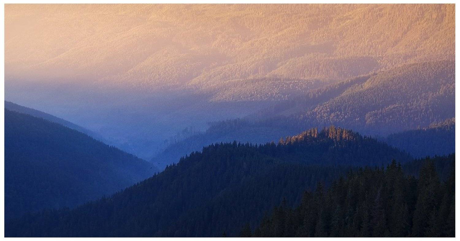 , Денис Кривой