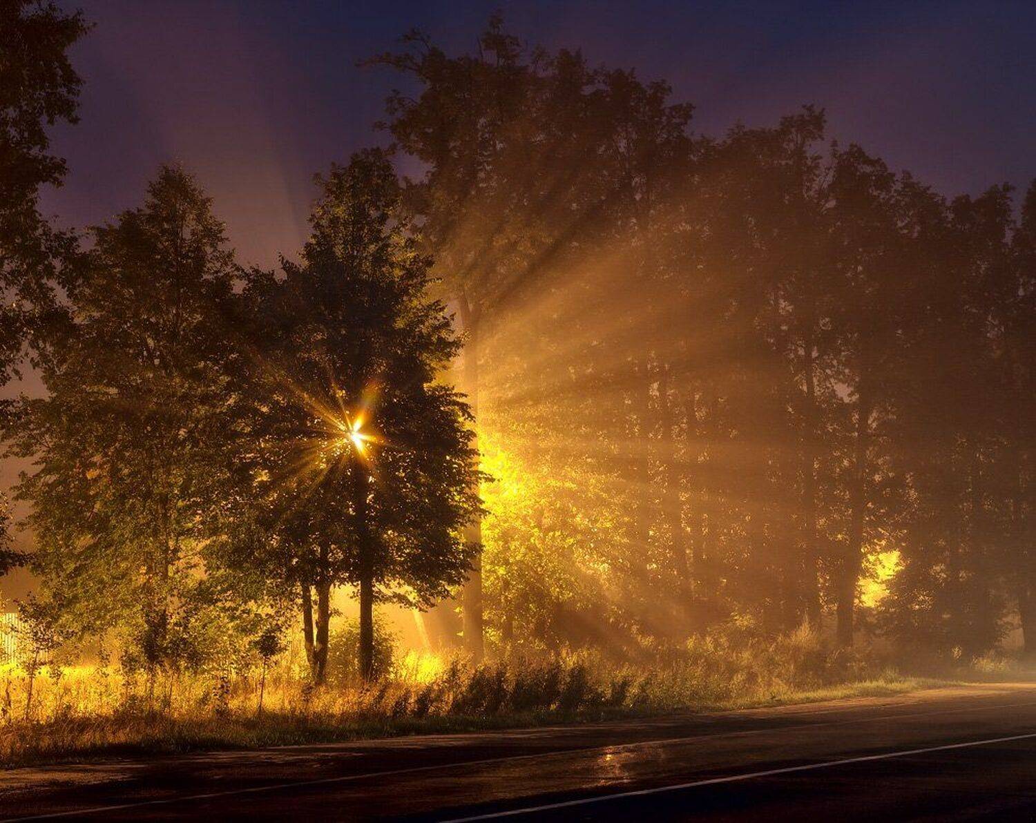 , Максим Евдокимов