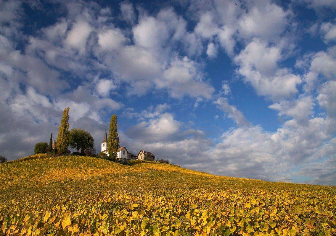 швейцария, Матвеев Николай