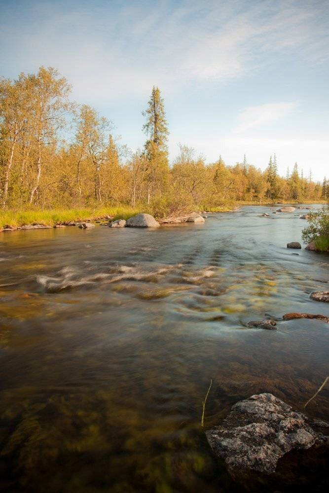 кольский, полуостров, locus