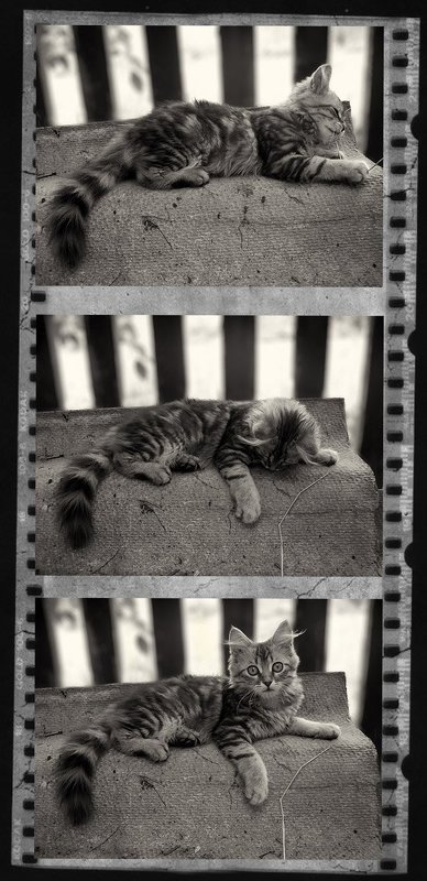 Игра фото превью