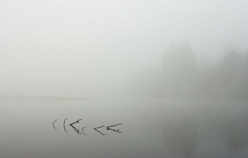 Про туман и тишину.