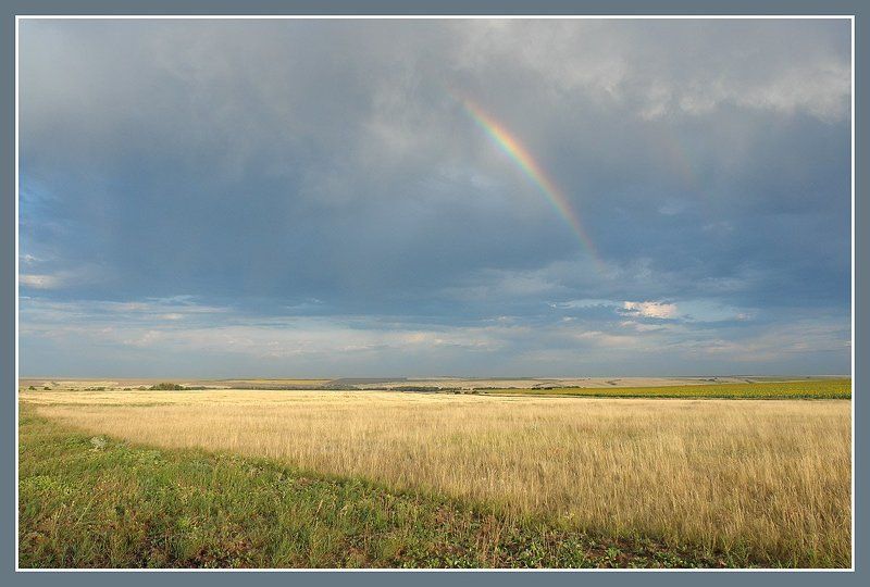 волгоградская  область, утро. Степь. Когда вокруг горит. фото превью