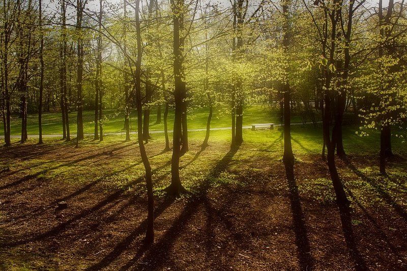 ******** фото превью