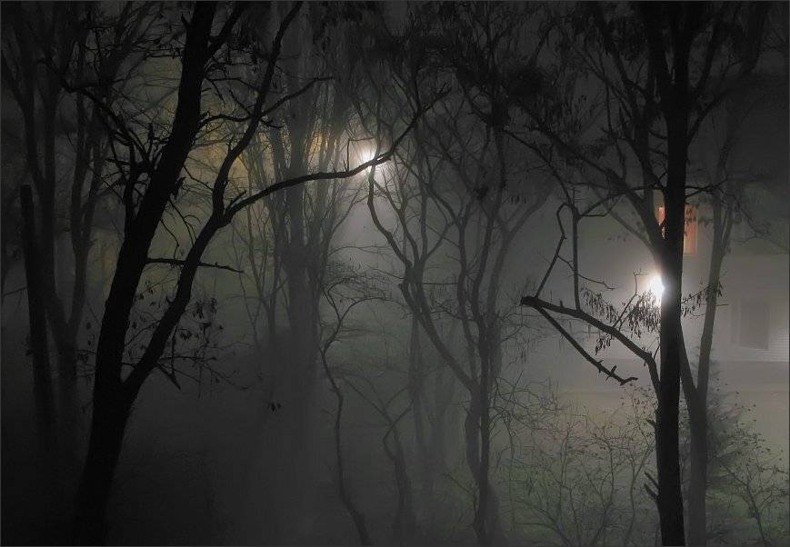 , Сергей Фудиненко