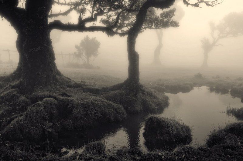 Запределье фото превью