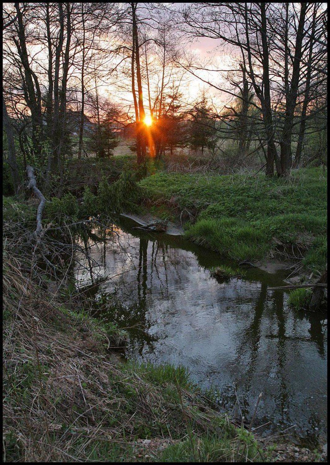 , Дмитрий Краснов