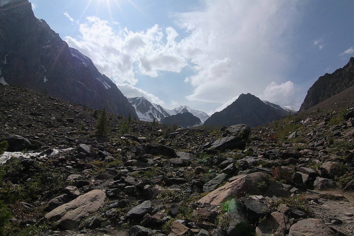алтай, горный алтай,лето,ущелье ,актру,горы, Олег Кулаков