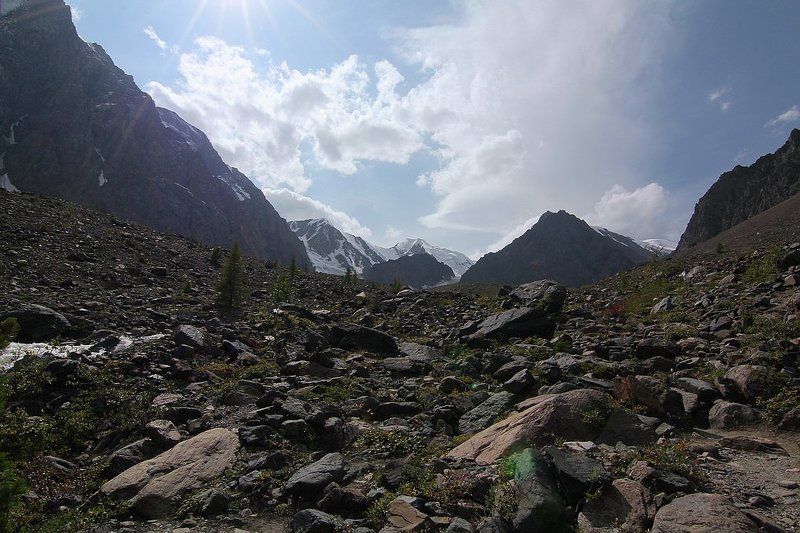 алтай, горный алтай,лето,ущелье ,актру,горы В ущелье Актру... фото превью