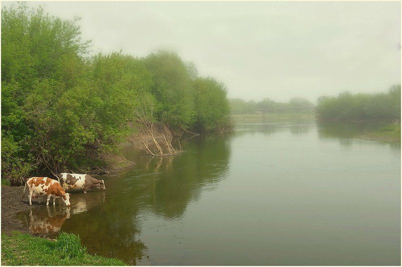 Жажда. фото превью