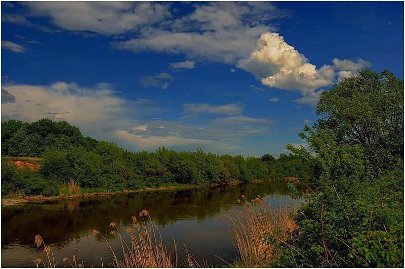Пейзаж с кудрявым облаком. фото превью
