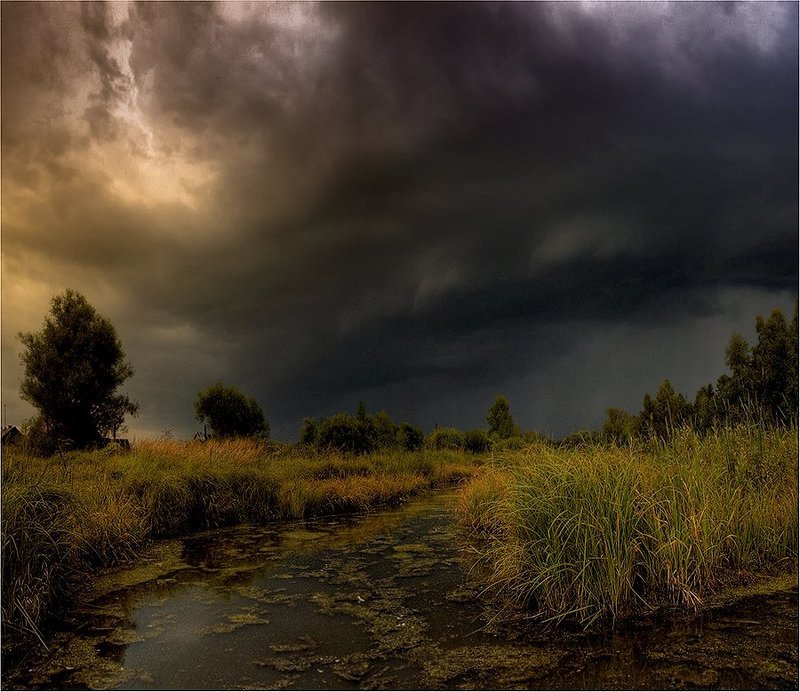 В предверии осени фото превью